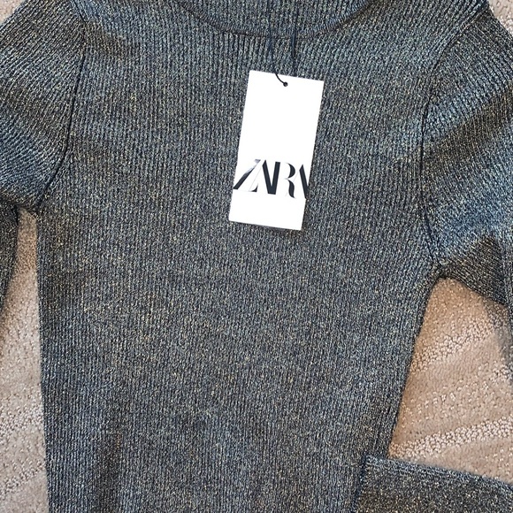 Zara - Metallic‎ Thread Knit Cropped Top - Picture 11 of 11